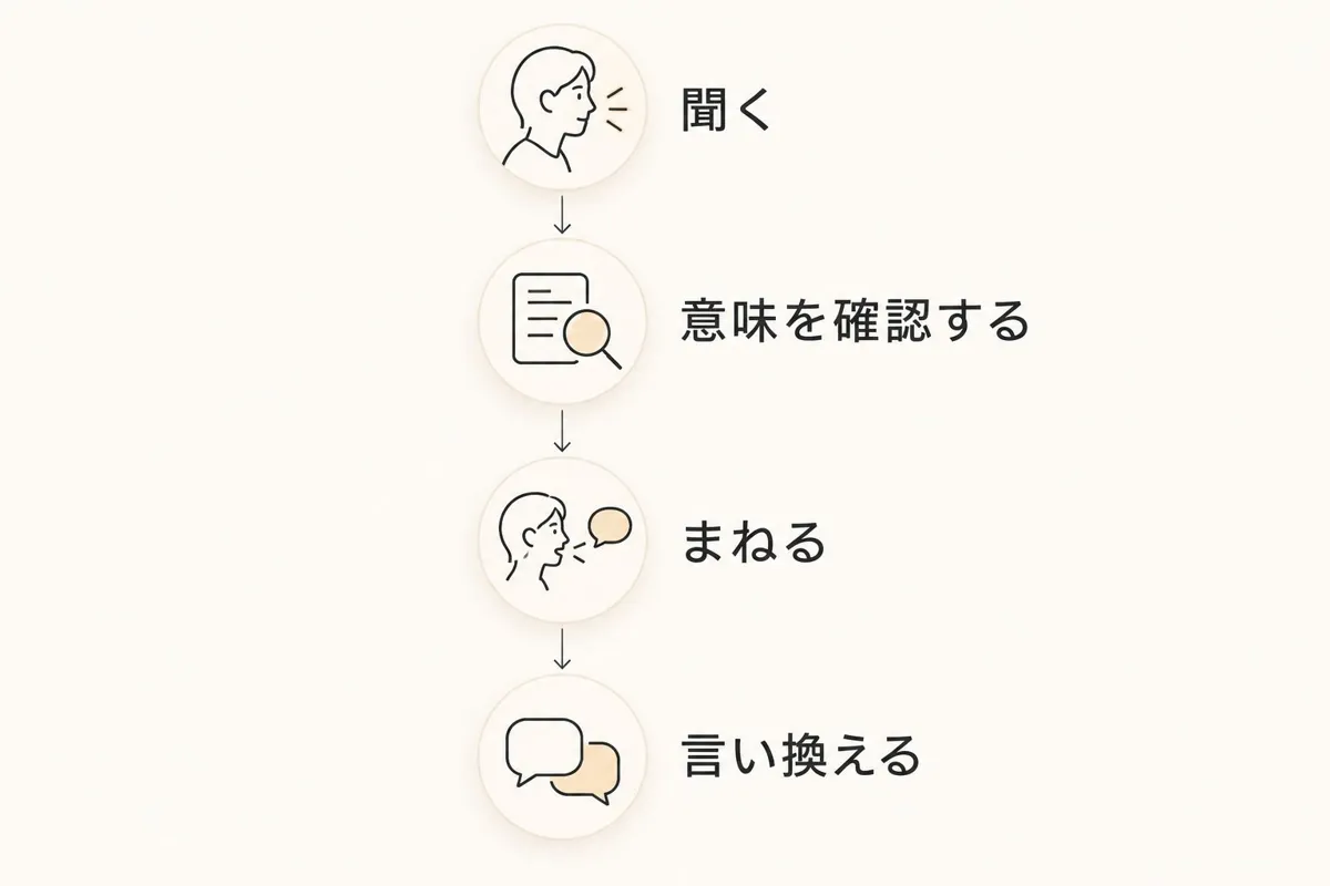 聞く、意味を確認する、まねる、言い換えるという練習手順